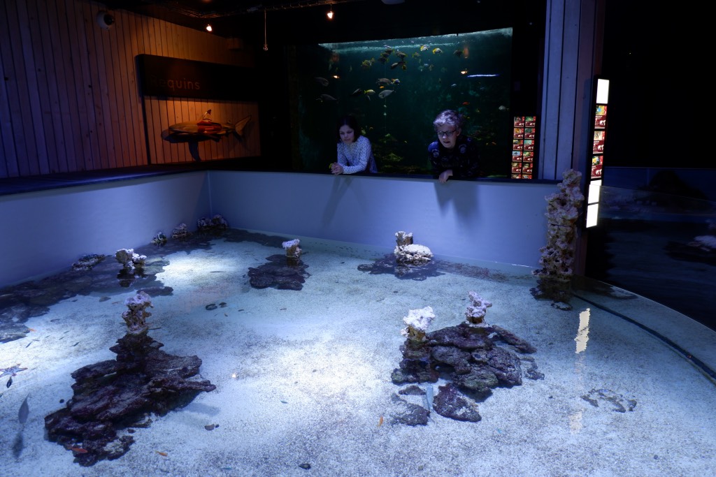 Aquarium-Museum Luik