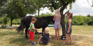 Kinderen vinden een pony op de camping meestal erg leuk.