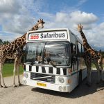 Denemarken-zuid-denemarken-give-GIVSKUDZOO_Safari_Bus