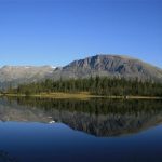 Noorwegen-Oostland-Hemsedal-nature-58-RF-07-120859_500