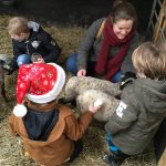 Dieren knuffelen bij Belevenisboerderij Schieveen.