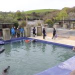 Cornish Seal Sanctuary Cornwall – 13