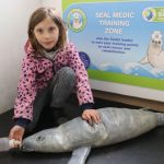 Cornish Seal Sanctuary Cornwall – 30