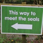 Cornish Seal Sanctuary Cornwall – 4