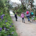 Cornish Seal Sanctuary Cornwall – 5