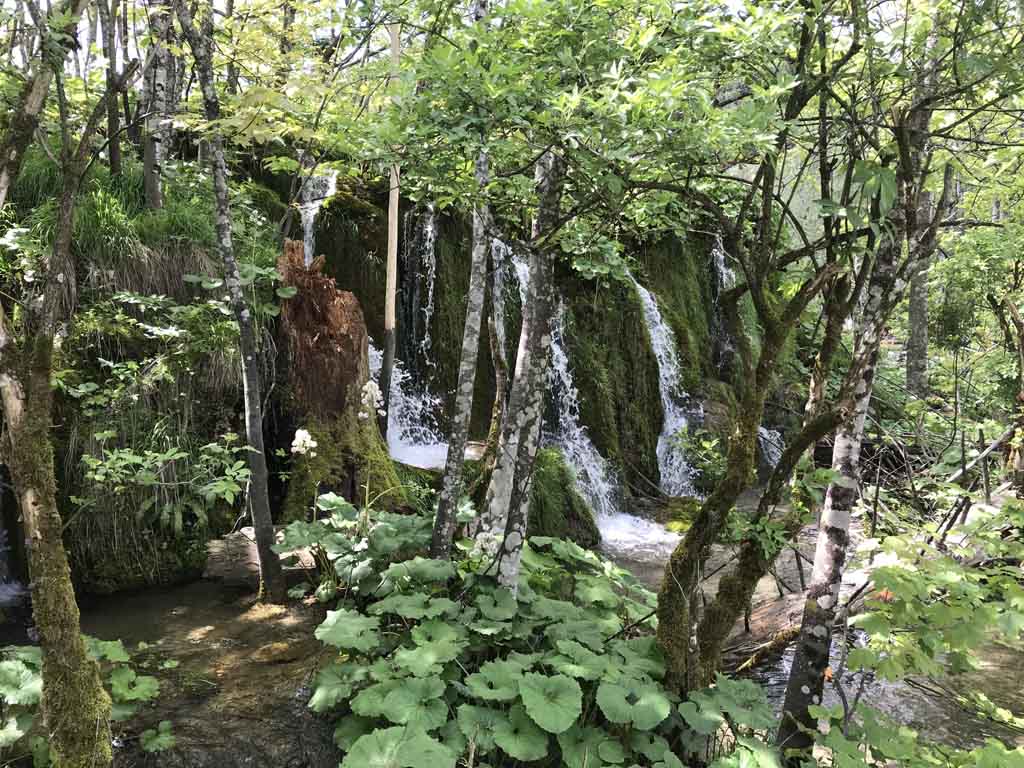 plitvice groene watervallen
