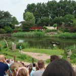 — Van der Valk Avifauna 03 – vogelpark – show