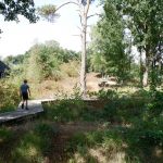 Boswachterspad-Vennenroute-04