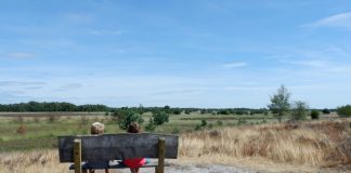 Genieten van het uitzicht op de Strabrechtse Heide