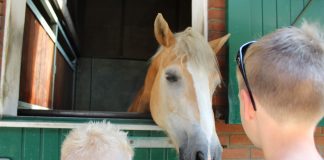 Nu de bewoners in hun eigen stal staan, kunnen we ze nog beter bekijken.