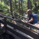 wilderkaiser-ellmi-bosbrug