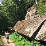 De bunkers zijn inmiddels overgenomen door de natuur.