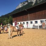 Wilderkaiser-hafflingerfarm2