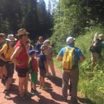wilderkaiser-natuurwandeling16
