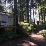 wilderkaiser-natuurwandeling4