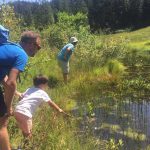 wilderkaiser-natuurwandeling8