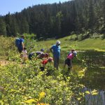 wilderkaiser-natuurwandeling9