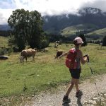 Landalpark Oostenrijk Salzburgerland