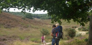 Wandelen over de Posbank met kinderen