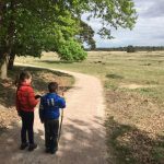 Vakantie op de Veluwe met kinderen