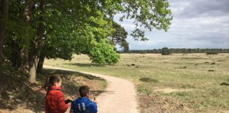 Vakantie op de Veluwe met kinderen
