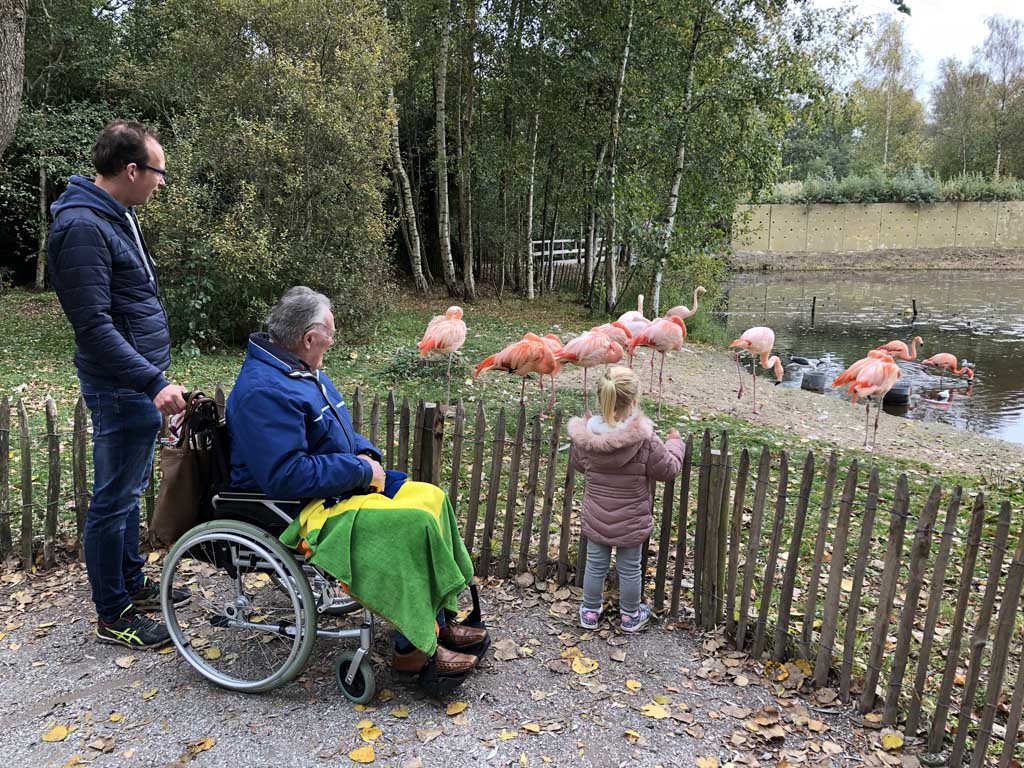 Samen met overgrootvader en papa naar de flamingo’s kijken.