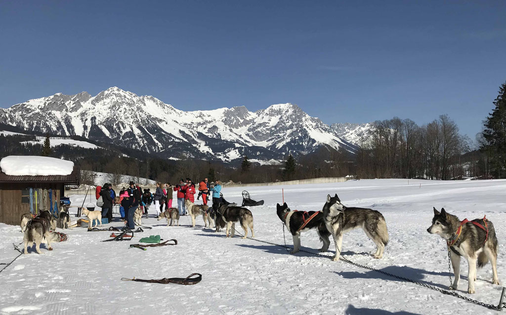 De huskytour is een unieke winteractiviteit in Wilder Kaiser.