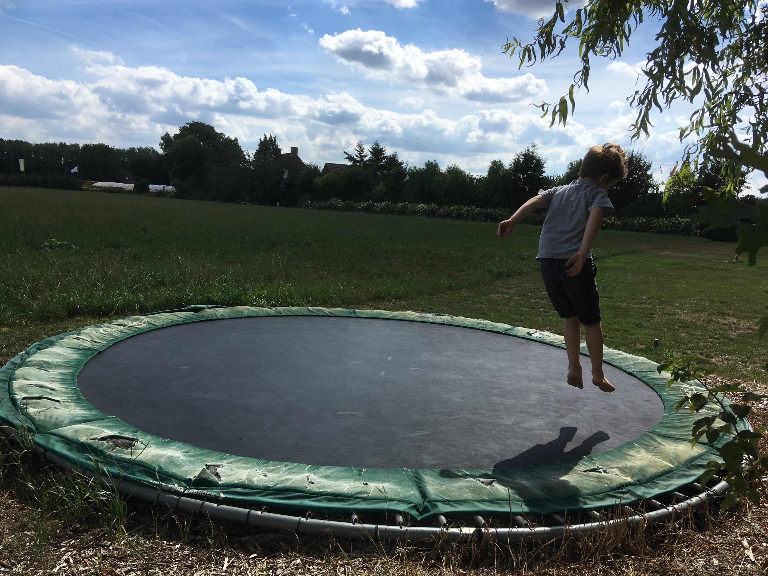 wilgenweide-trampo-altijd-goed