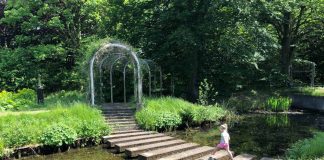 Van balk naar balk over het water in de watertuin