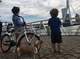 Expeditie-Rotterdam