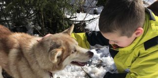 Uren had hij nog wel kunnen knuffelen met de honden.