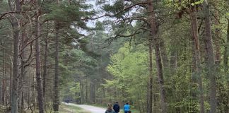 Terug fietsen naar Prerow.