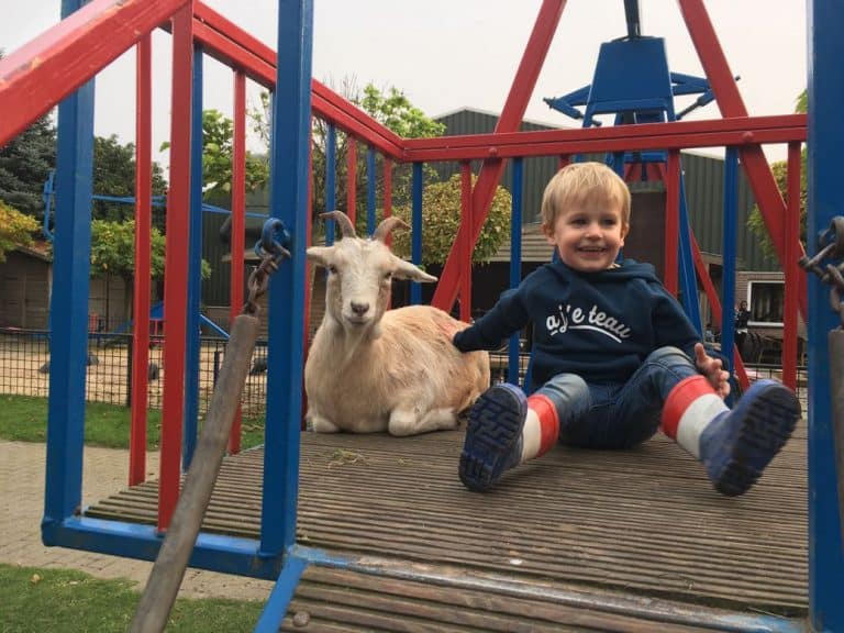 Recreatiepark Pukkemuk: Spelen, Dieren, Water En Nog Eens Spelen!