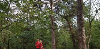 Bij een open stuk in het bos kunnen we vijf richtingen op. Welke moeten we nemen?