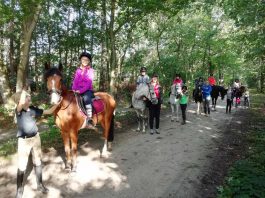 vinea_ponykamp_eerbeek11