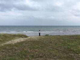 Vanuit ons huis loop je zó naar het strand. Dat doen we dan ook dagelijks meerdere keren.