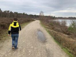 Nationaal-Park-Maasduinen-wandelroute-7