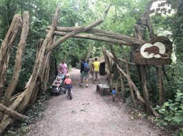 Start van de korte wandeling door het Beverbos in de Biesbosch