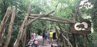 Start van de korte wandeling door het Beverbos in de Biesbosch