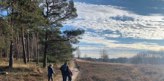 Wat een afwisselende wandeling vanaf de Loenermark.