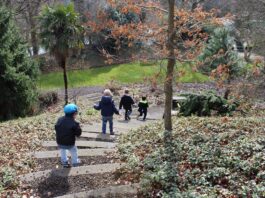 botanische-tuin-utrecht