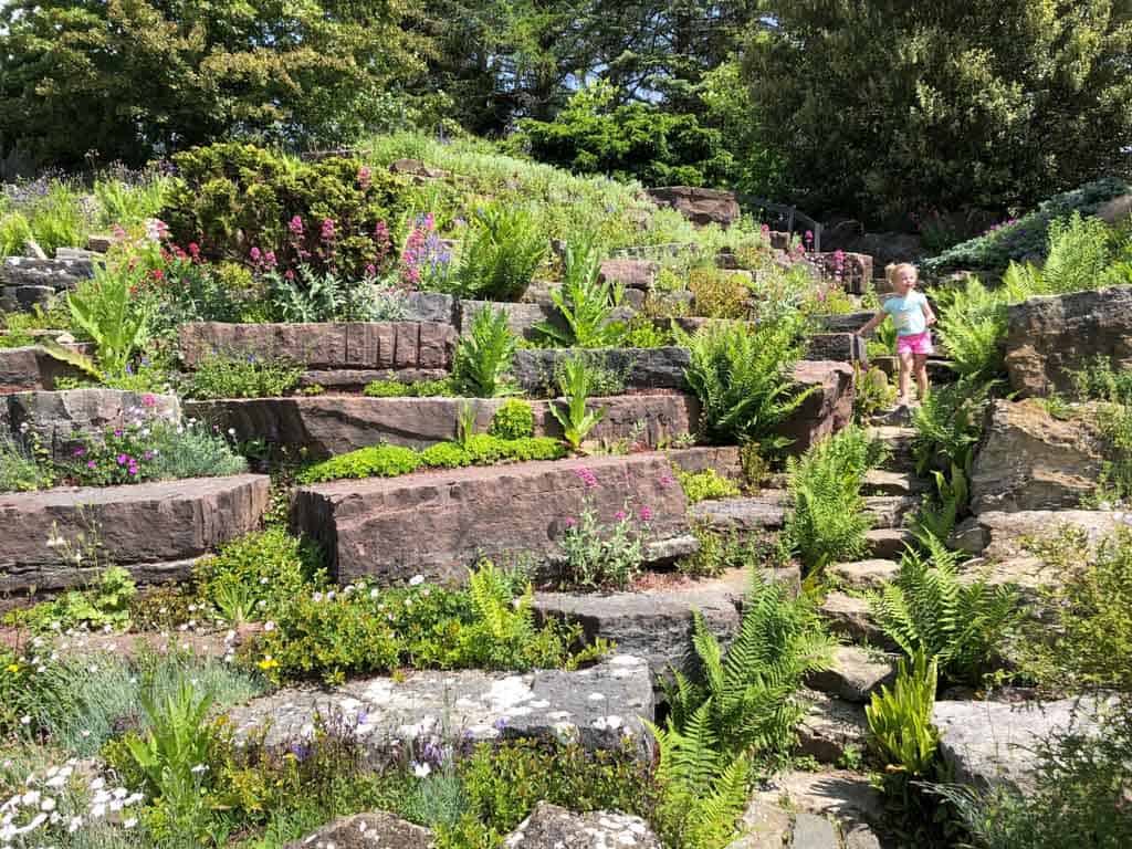hortus-met-kinderen-7