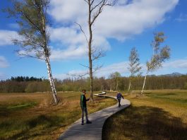 wandeling-landgoed-tongeren-foto-4-vlonderpad