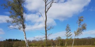 wandelen in epe