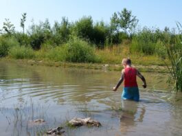 Speelnatuur-Tiengemeten-natuurspeelterrein-met-kinderen