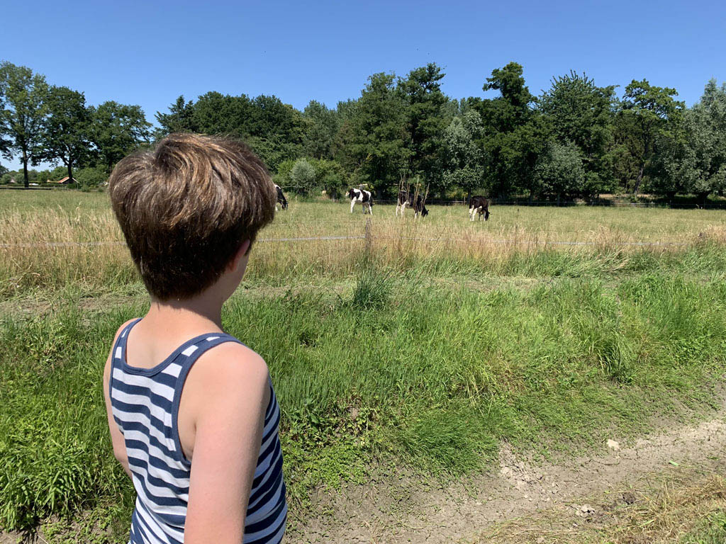 wandelen in de achterhoek