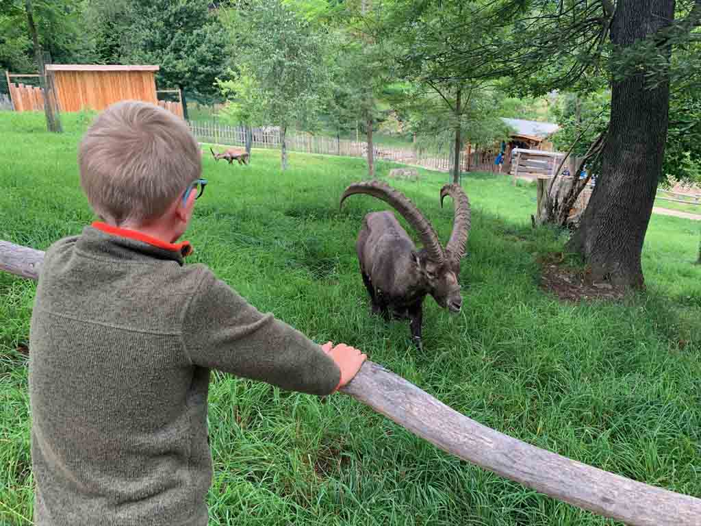 vakantie in de Pyreneeën met kinderen dierentuin