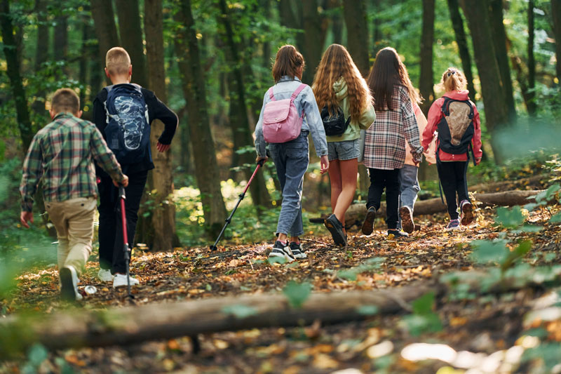 Uitjes-met-kinderen-bos