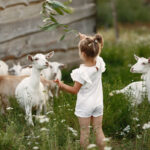 Uitjes-met-kinderen-kinderboerderij