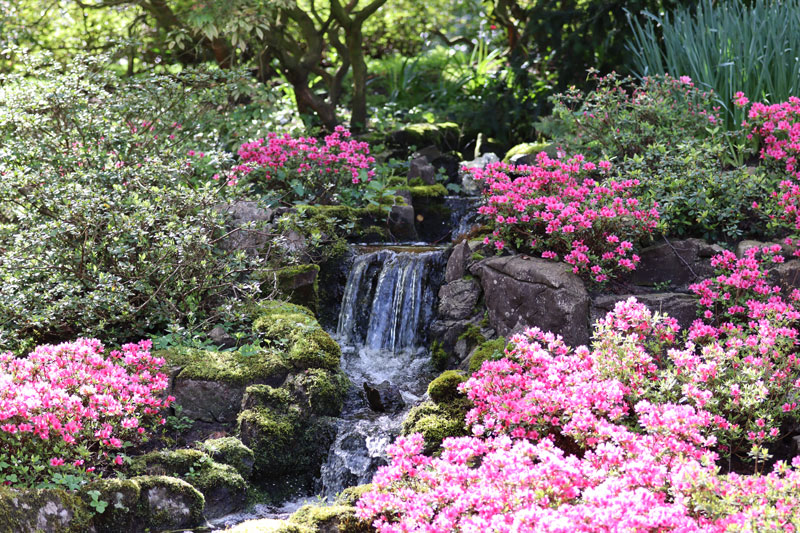 Watervalletje bij Keukenhof